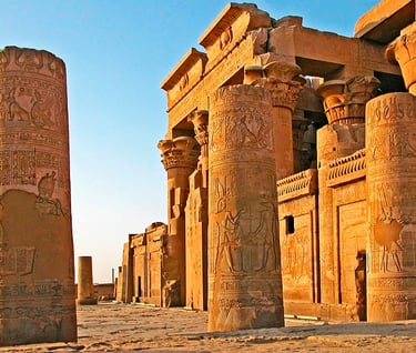a large group of columns with carvings of carvings of ancient egyptian temples