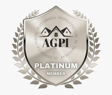 a silver plated badge with a silver and silver badge