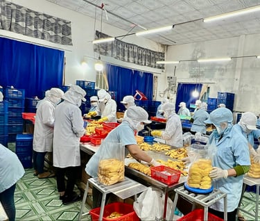 packaging and transporting dried products