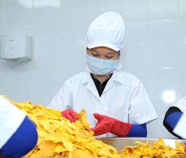quality inspection-dried product