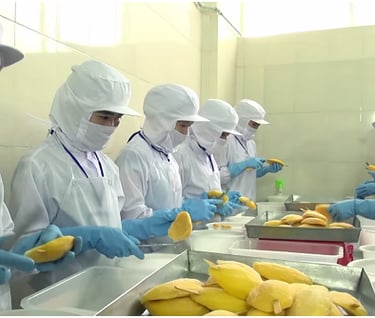 peeling and washing raw materials