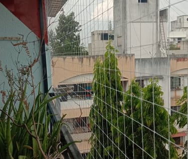 Bird control services