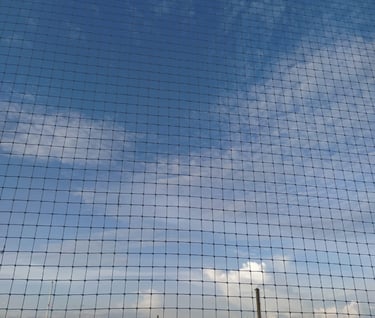 Bird Netting pune