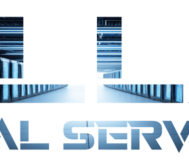 Dallas Digital Services Datacenter logo 