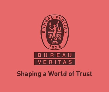 Logo Bureau Veritas