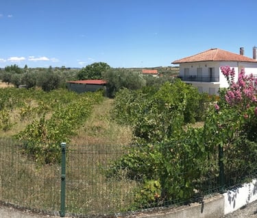 Portugal-Vakantie-Appartement-Ladoeiro