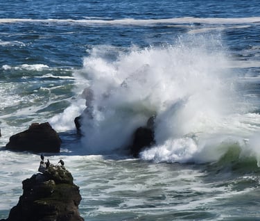 Wave crashing on the rocks Bodega Bay, CA