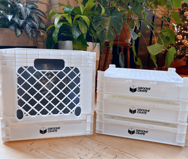 Vinyl Record Storage Crate in white next to plants