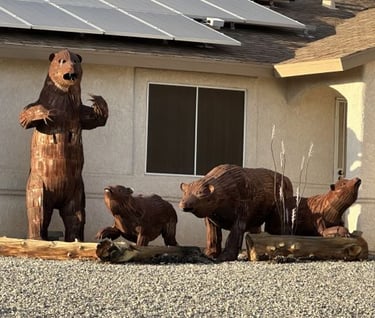 Bears Landscaping Lake Havasu AZ