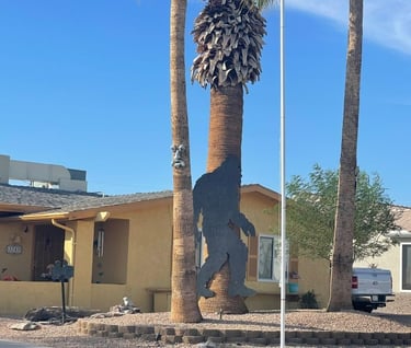 Big Foot Shadow Landscaping Lake Havasu AZ