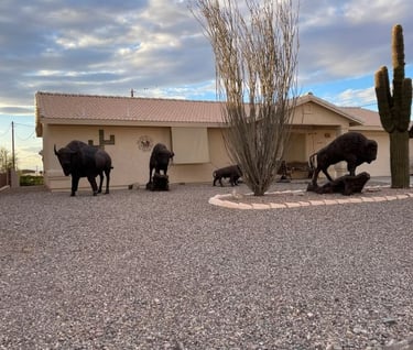 Bison Herd Landscaping Lake Havasu AZ