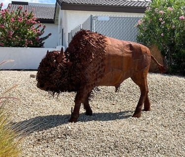 Bison Landscaping Lake Havasu AZ