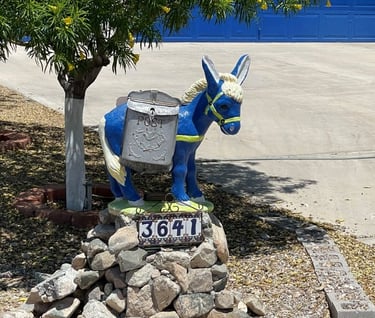Blue Donkey Mailbox Lake Havasu City AZ