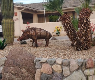 Bore Landscaping Lake Havasu AZ