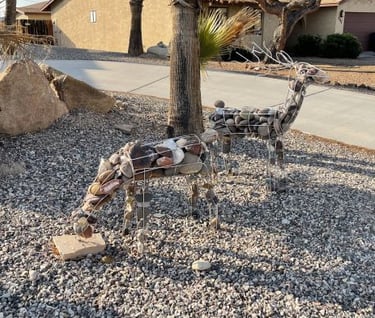 Deer Wire-Rocks Landscaping Lake Havasu AZ