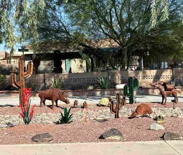 Desert Animals Landscaping Lake Havasu AZ