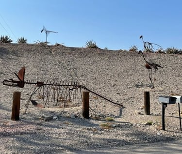 Dinosaur Skeleton Plus Landscaping Lake Havasu AZ