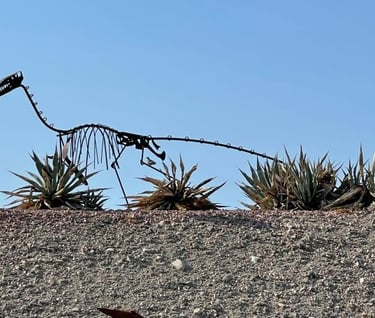 Dinosaur Skeleton Landscaping Lake Havasu AZ