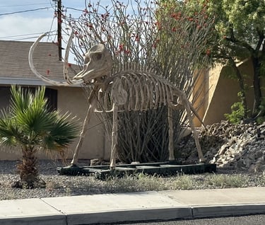 Skeleton Wooly Mammoth Landscaping Lake Havasu AZ