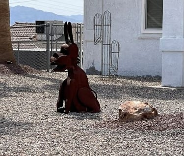 Dog Iron Landscaping Lake Havasu AZ