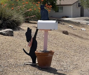 Dog to Cat Mailbox Lake Havasu City AZ