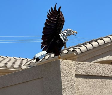 Eagle Roof Landscaping Lake Havasu AZ