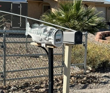 Fish Mailbox Lake Havasu City AZ