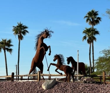 Horses Rearing Landscaping Lake Havasu City AZ