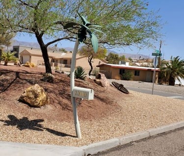 Palm Tree Mailbox Lake Havasu City AZ