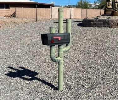 Piping Cactus Mailbox Lake Havasu City AZ