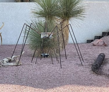 Spider Can Landscaping Lake Havasu AZ
