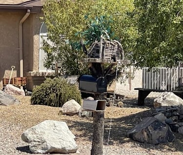 Treehouse Mailbox Lake Havasu City AZ
