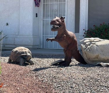 Trex Eat-Rat Turtle Landscaping Lake Havasu AZ