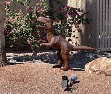 TRex Small Landscaping Lake Havasu AZ