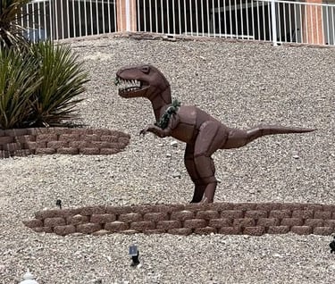 Trex Xmas Landscaping Lake Havasu AZ