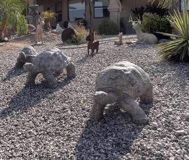 Turtles Plus Landscaping Lake Havasu AZ