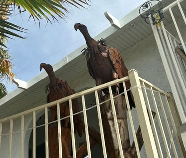Vultures Landscaping Lake Havasu AZ