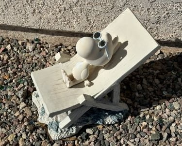 Woodstock Sunbathing Landscaping Lake Havasu City AZ