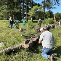 FOPM volunteers cleaning up a fallen tree during a park work day.