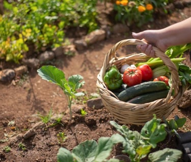 Cesta de mimbre con verduras frescas cosechadas en el huerto con tomates pimientos y calabacines