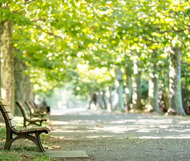 consultation en marchant walk and talk