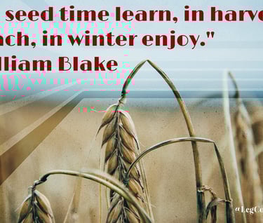 In seed time learn, in harvest teach, in winter enjoy. William Blake