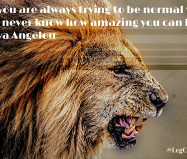 If you are always trying to be normal you will never know how amazing you can be. Maya Angelou