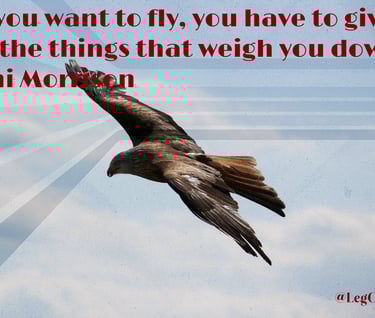 If you want to fly, you have to give up the things that weigh you down. Toni Morrison