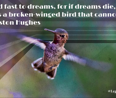 Hold fast to dreams, for if dreams die, life is a broken-winged bird that cannot fly. Langston Hug