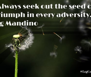 Always seek out the seed of triumph in every adversity. Og Mandino