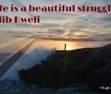 Life is a beautiful struggle. Talib Kweli