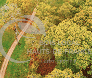 une route avec un chemin de terre et des arbres en arrière-plan