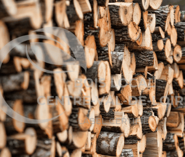 un tas de bûches empilées les unes sur les autres
