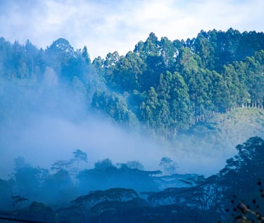 Booking online, panorama y vista sorprendente en Casa Quincha Glamping